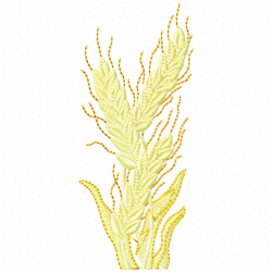 Plants Embroidery Design 8